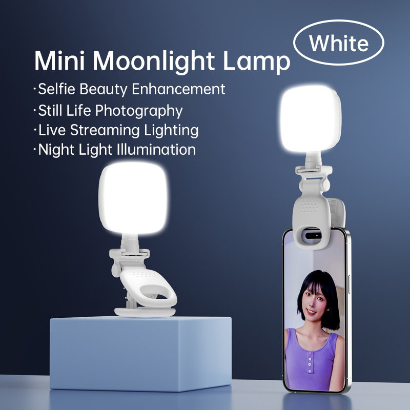 Portable LED Selfie Light Came - Photography Lighting Tool 评论和价格