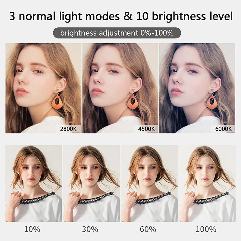 10 inch LED Selfie Ring Light  - Photography Lighting Overhead 评论和价格